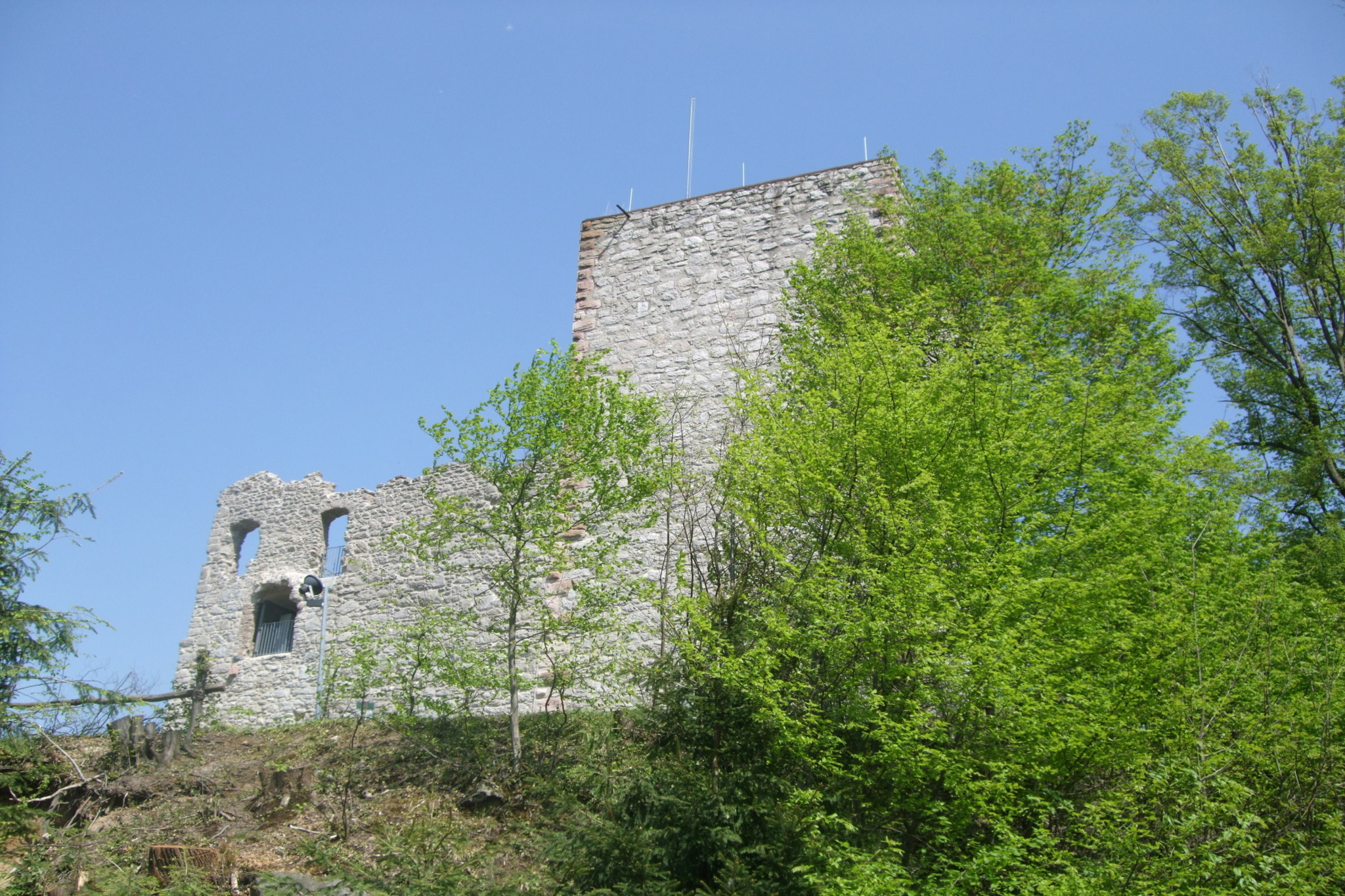 Ansicht Burgruine Neuwindeck